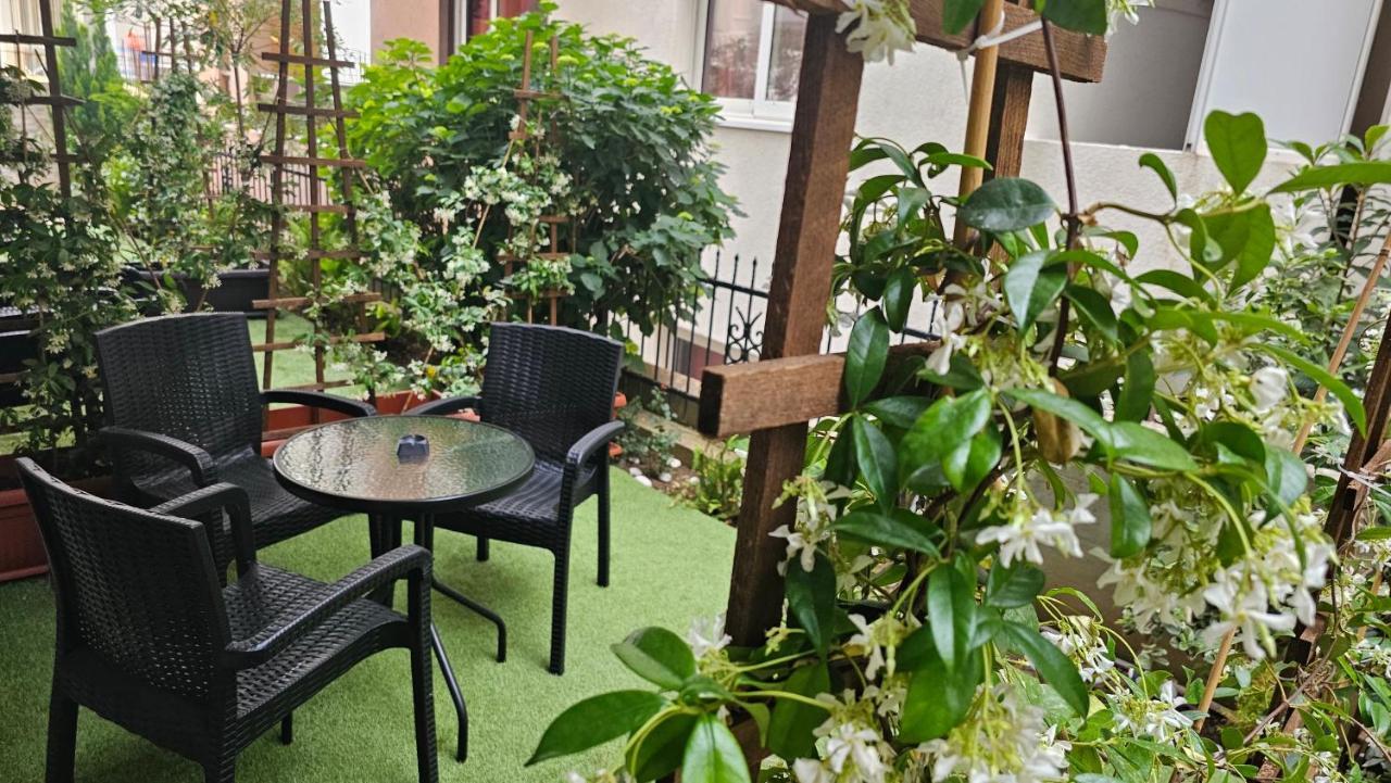 דוברה וודה Villa Alba Apartments מראה חיצוני תמונה